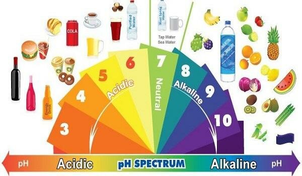 sơ đồ thực phẩm chứa axit và kiềm